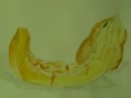 /album/natures-mortes/p1010909-jpg/