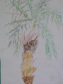 /album/les-palmiers/p1010912-jpg/