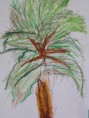 /album/les-palmiers/p1010913-jpg/