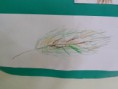 /album/les-palmiers/p1010914-jpg/